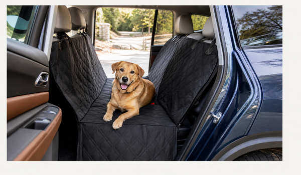 Dog sitting on a protected SUV back seat with a hammock-style dog seat cover.